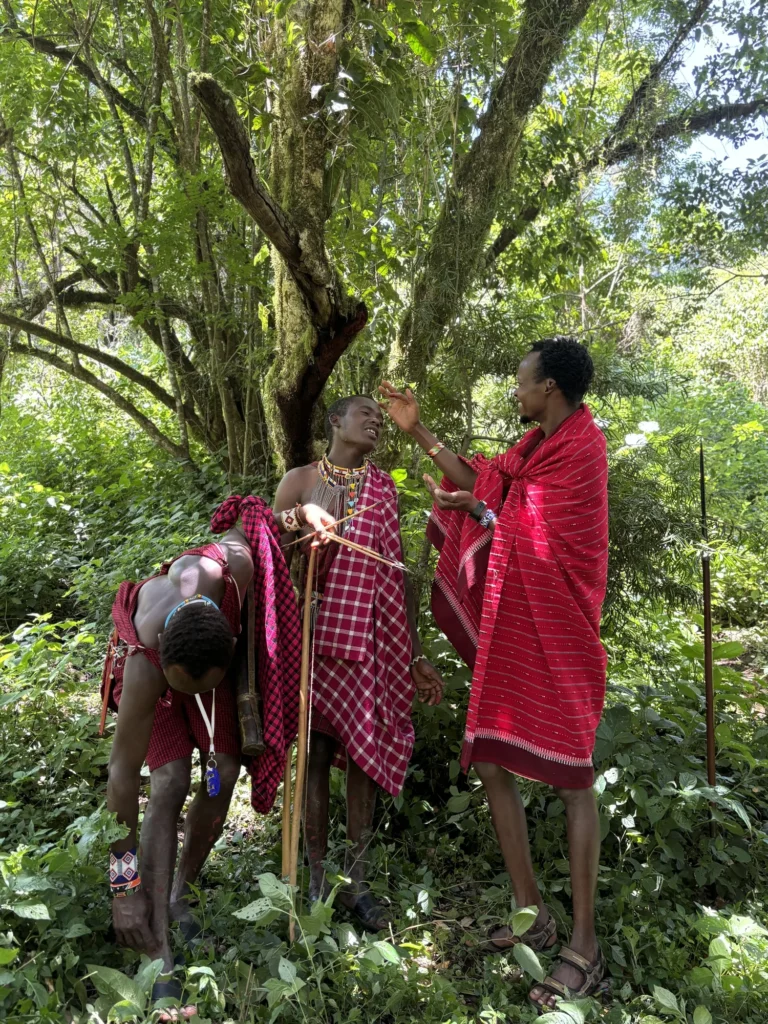 Des Maasaï en forêt, gardiens des savoirs liés aux plantes