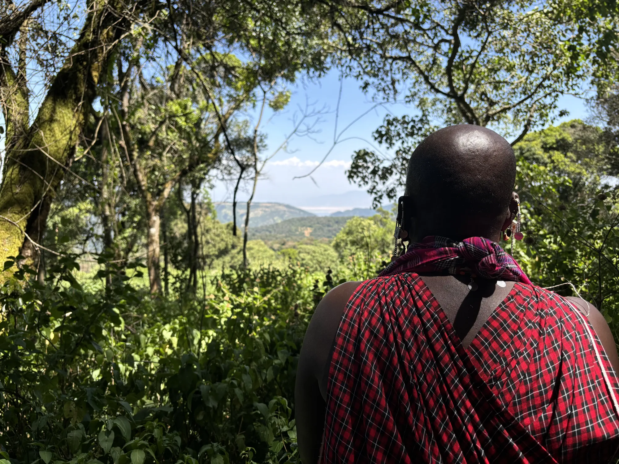 Marche en conscience dans les Loita Hills, Kenya